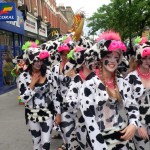 COW AT THE CARNIVAL!